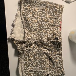 Cheetah print short shorts